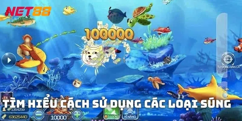 Tìm hiểu cách sử dụng các loại súng phù hợp để tối ưu hóa số tiền thưởng